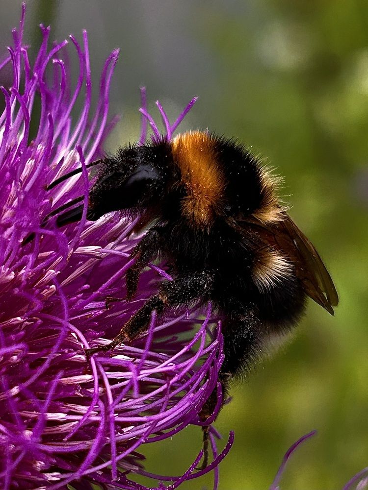 Photograph by Yulia Kotova