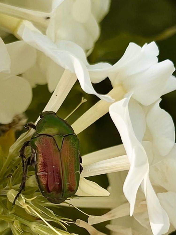 Photograph by Yulia Kotova