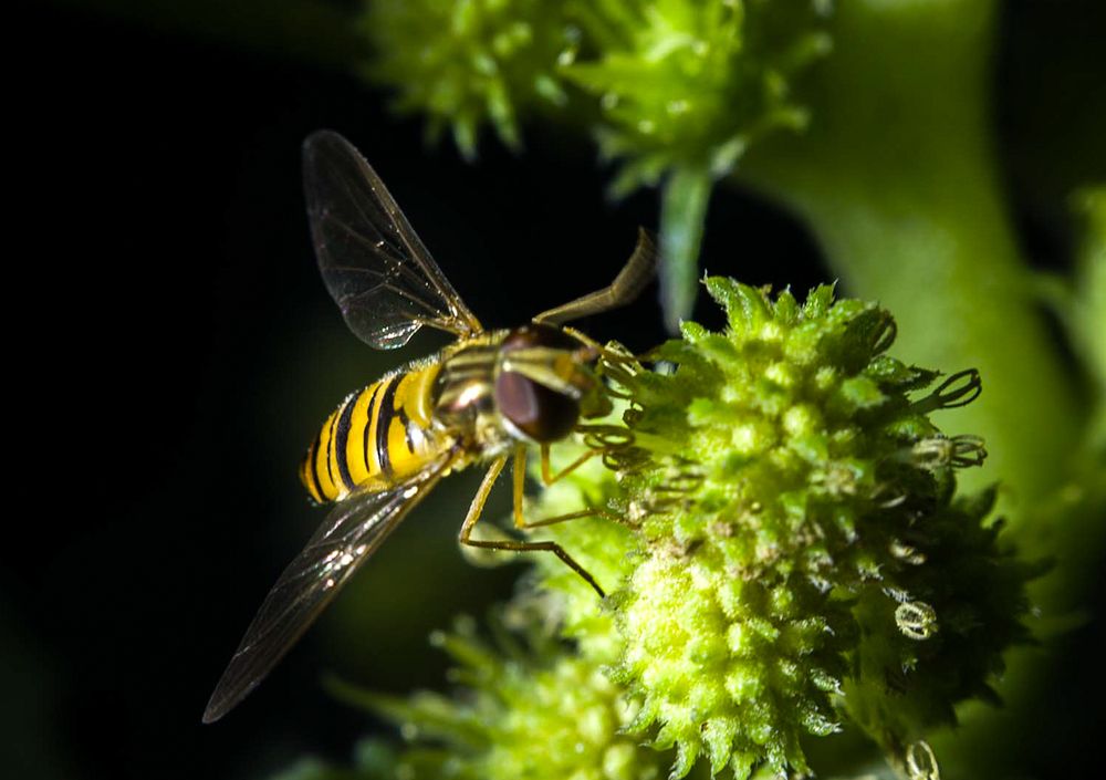 Photograph by Edris Khosravizadeh