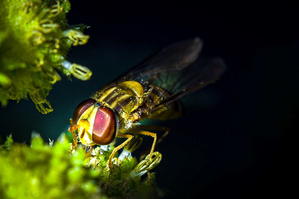 Photograph by Edris Khosravizadeh