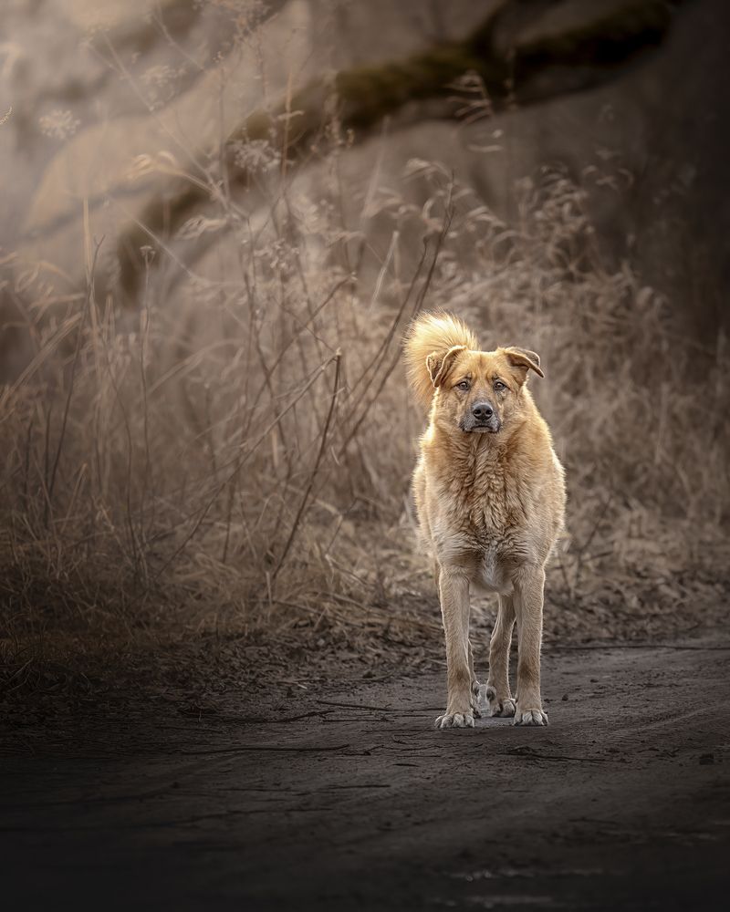 Фотография автора Aleksandr Solovev