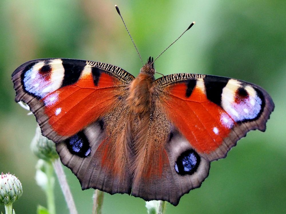 Photograph by Олег