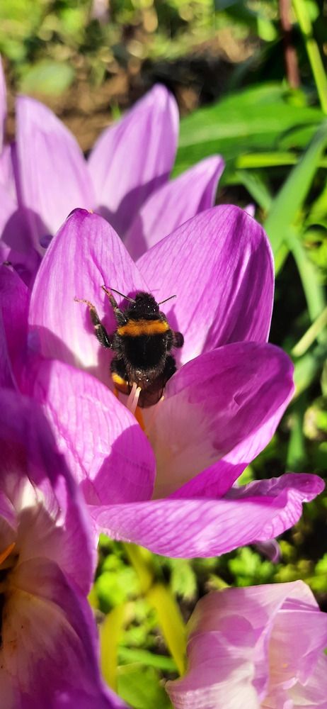 Photograph by Светлана Цапина