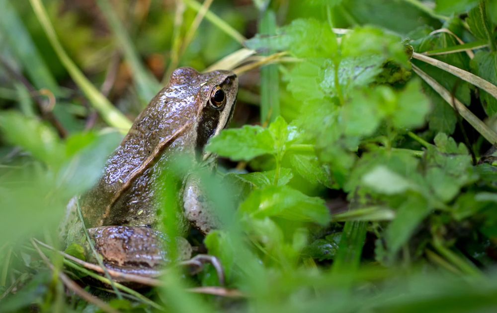 Фотография автора Andrey Pristyazhnyuk