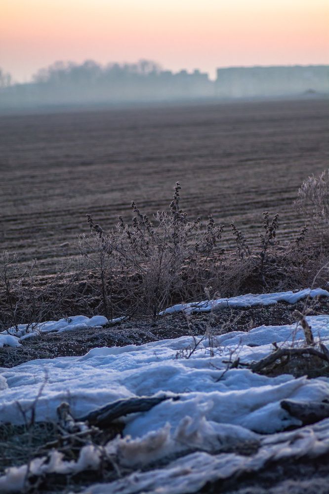 Photograph by Муза Латинская