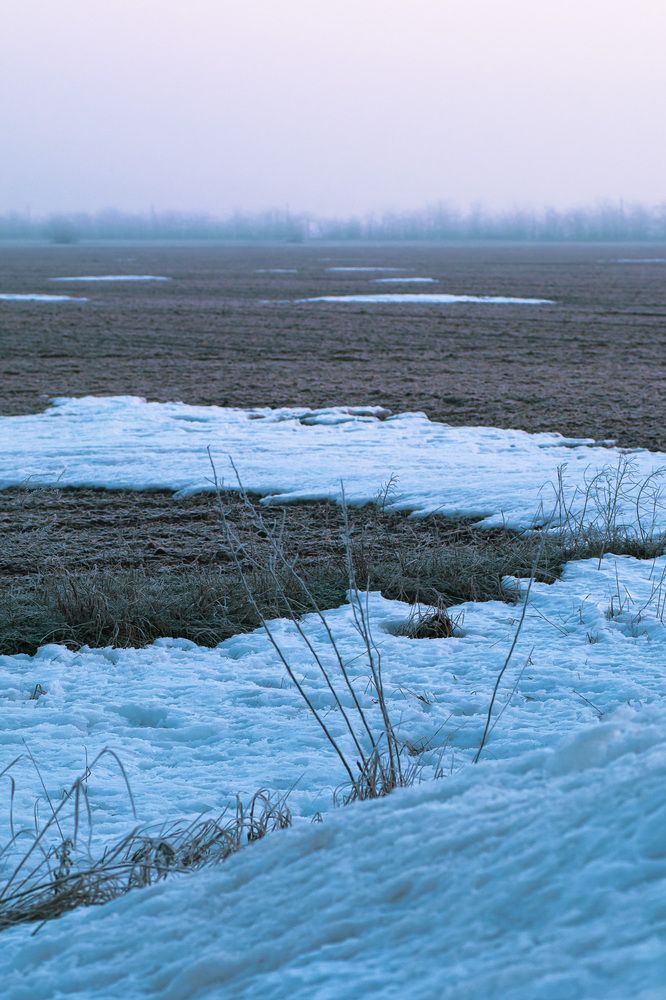 Photograph by Муза Латинская