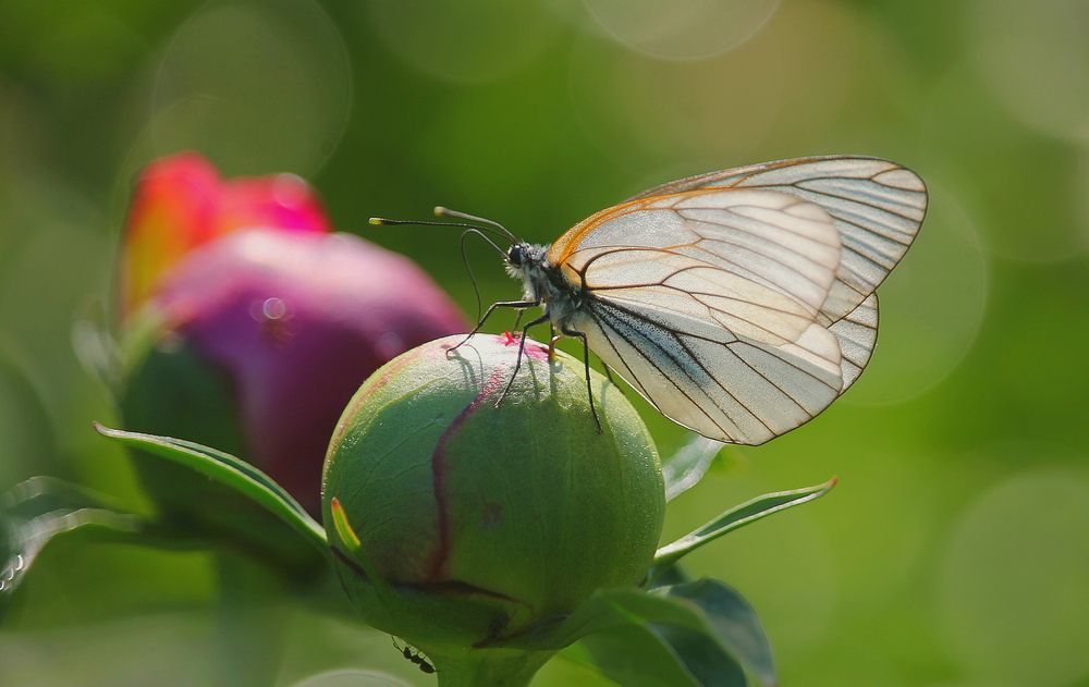 Photograph by Тамара Кремлева