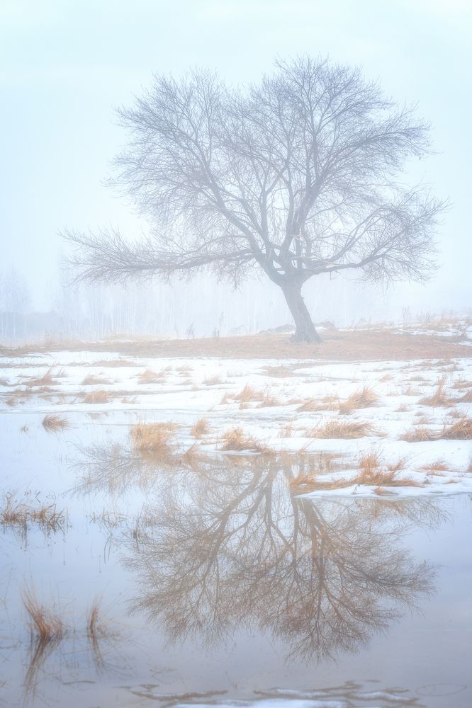 Фотография автора Игорь Васильев