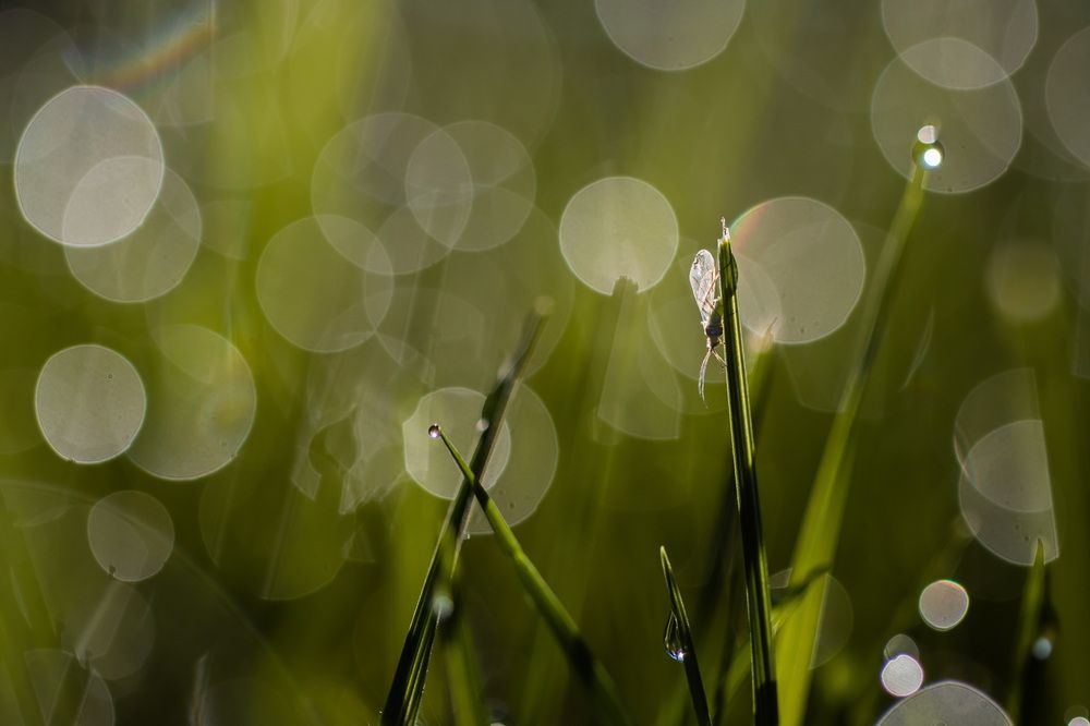 Photograph by Волынский Виктор