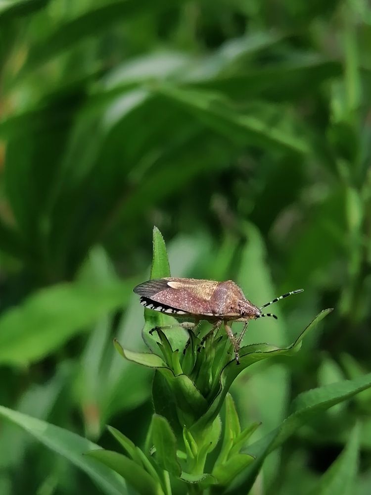 Photograph by Светлана Кудянова