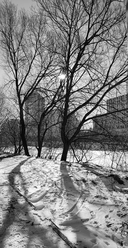 Photograph by Елена Юдина