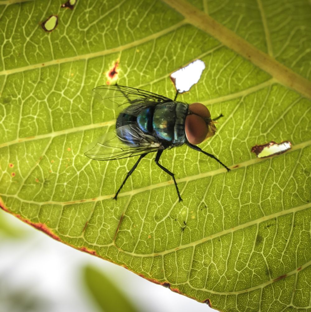 Photograph by Jamal Uddin