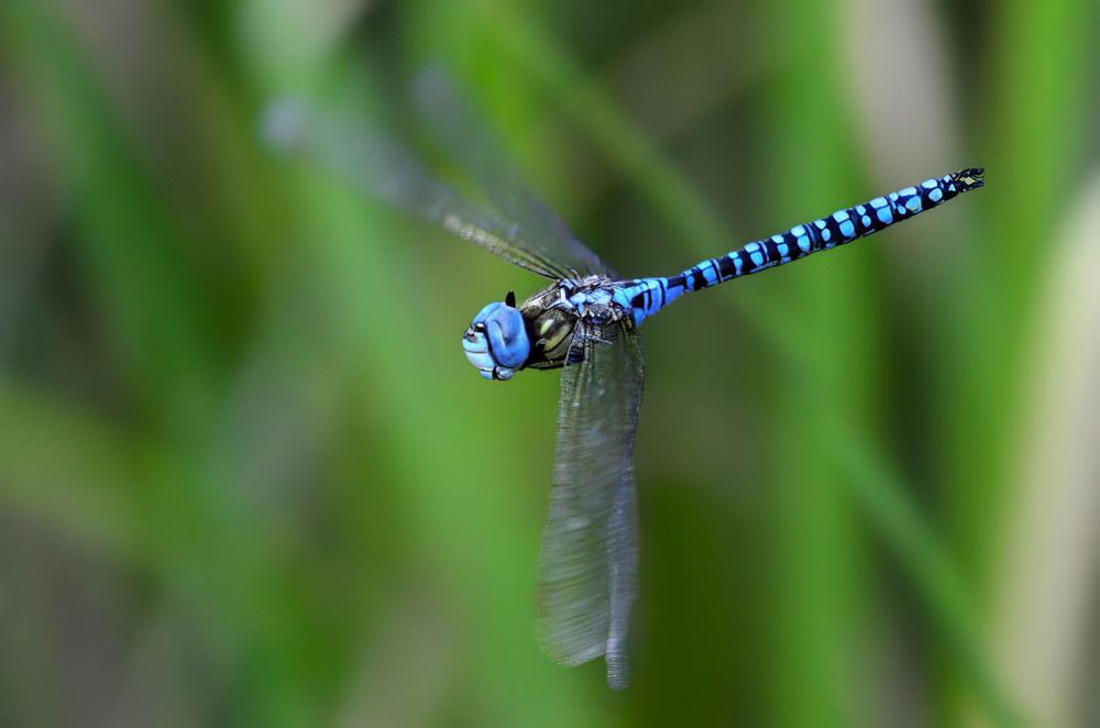 Photograph by Вячеслав Ладанов