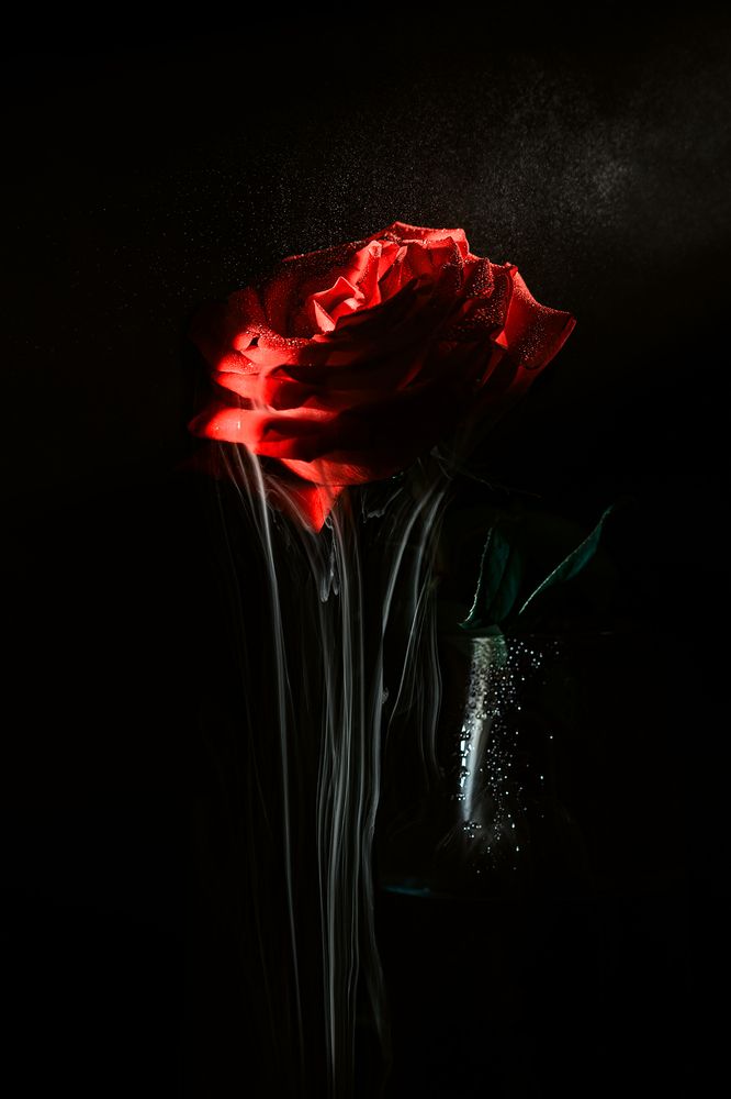 Photograph by Konstantin Zotkin