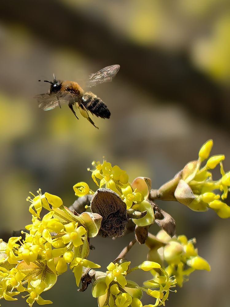 Photograph by Igor M.