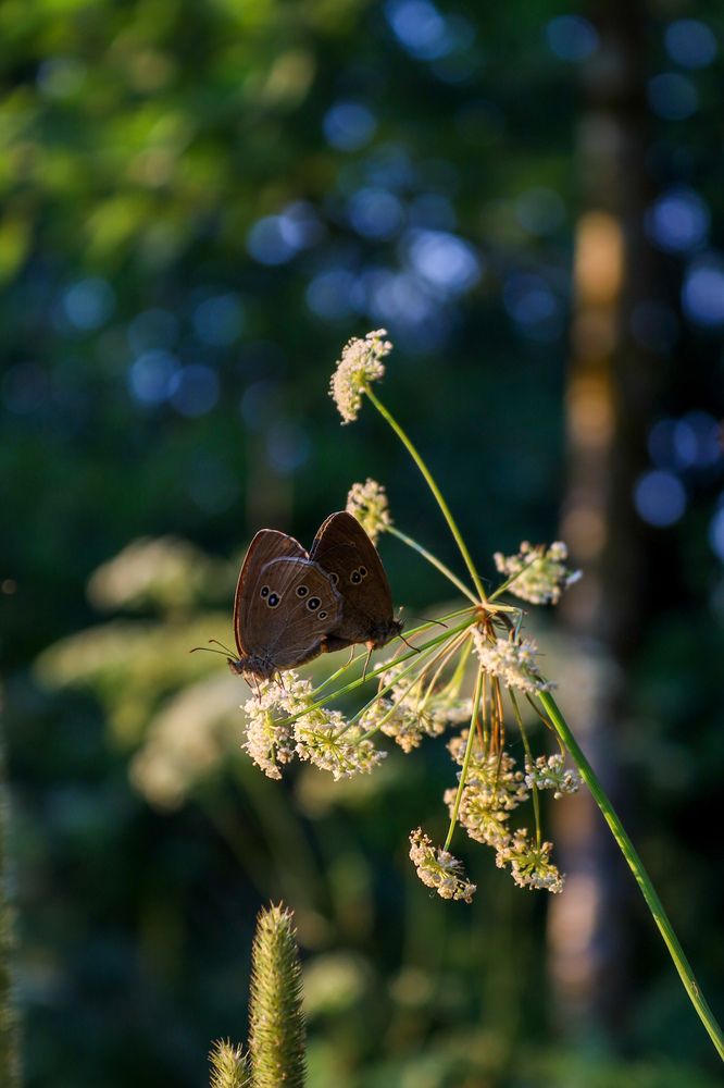 Photograph by Оксана Хабарова