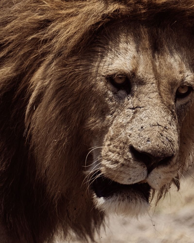 Photograph by EVGENII KOCHETKOV