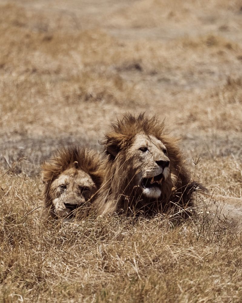 Photograph by EVGENII KOCHETKOV