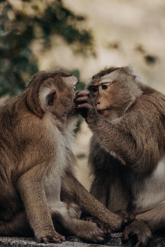 Photograph by EVGENII KOCHETKOV