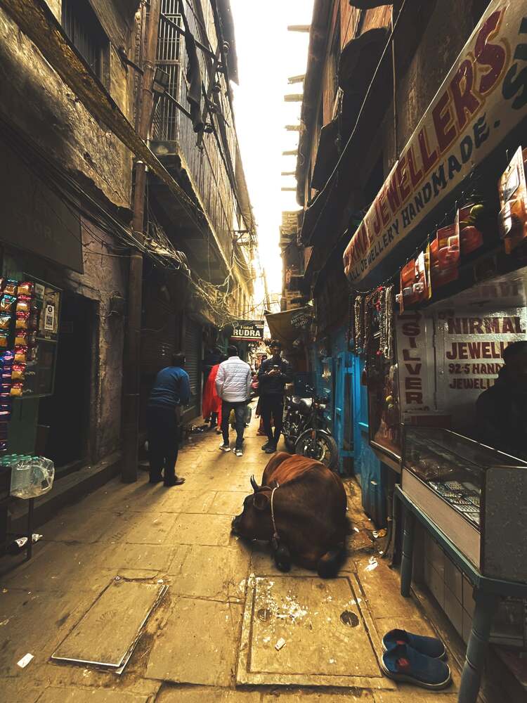 Photograph by Sen Abhijit