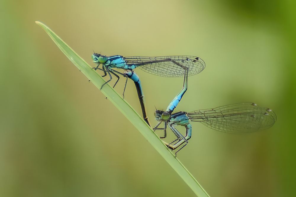 Photograph by Духанин Сергей