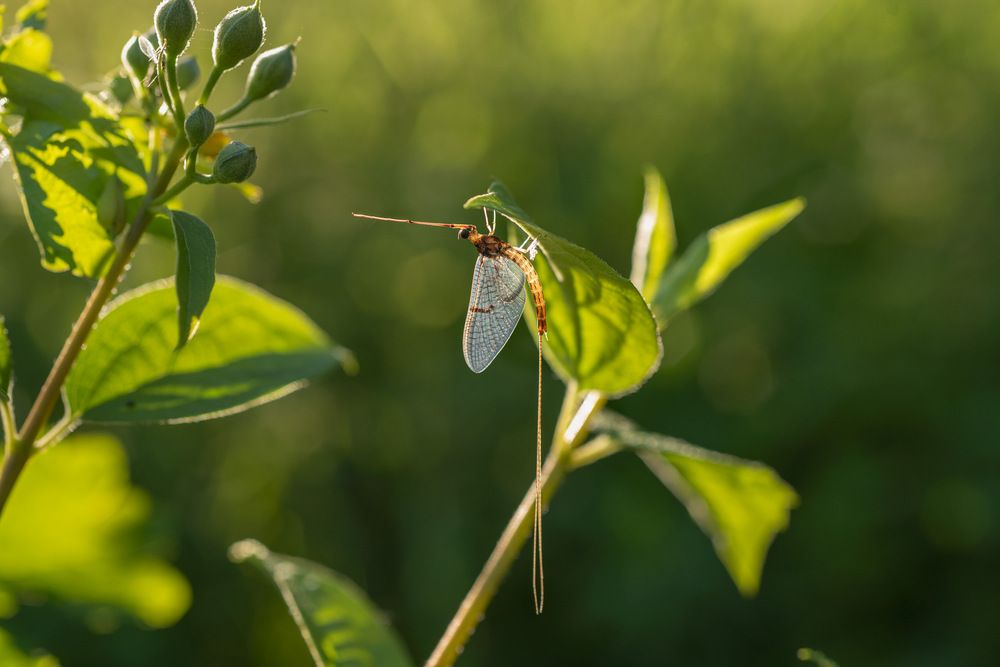 Photograph by Рюмина Ляля