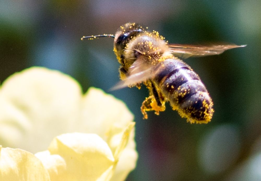 Фотография автора OVIDIU-IOAN TICU