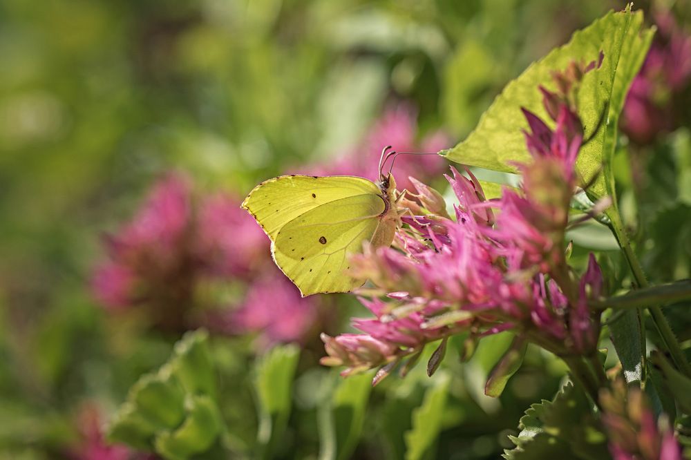 Photograph by Рюмина Ляля