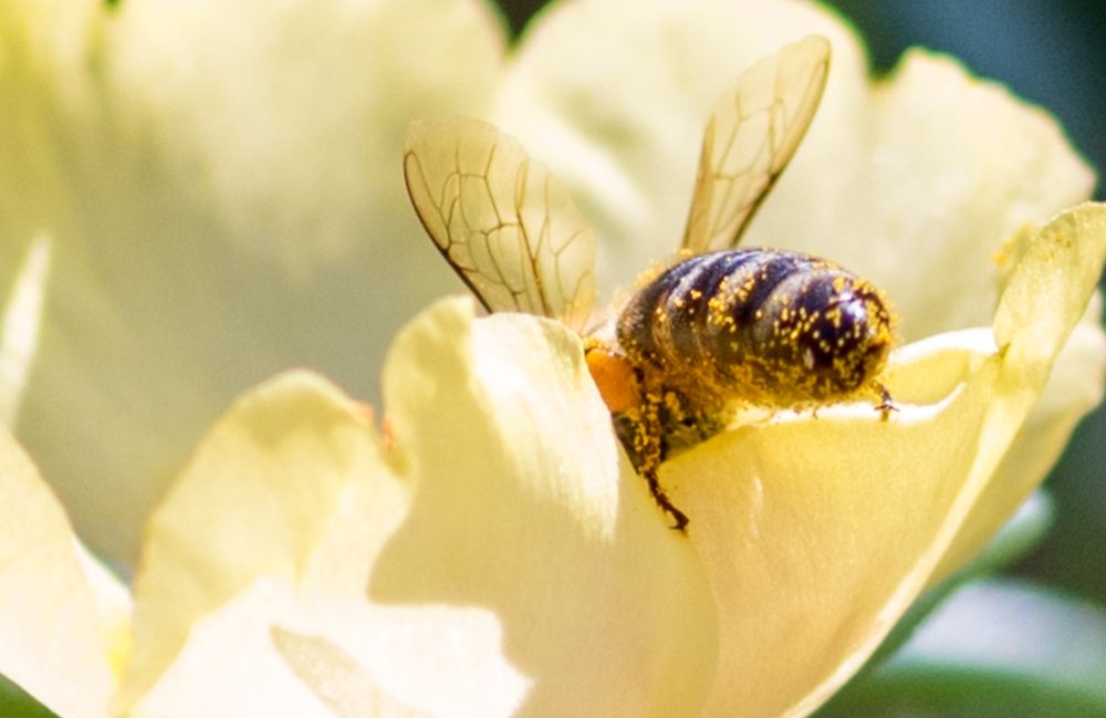 Фотография автора OVIDIU-IOAN TICU