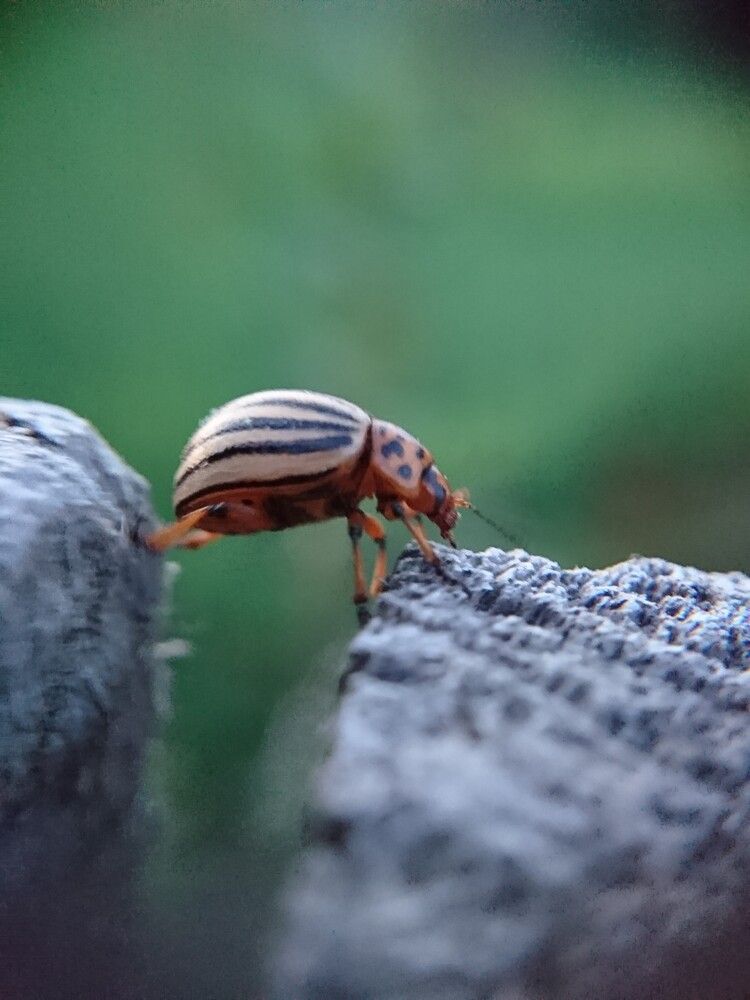 Фотография автора OVIDIU-IOAN TICU