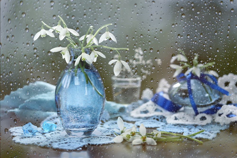 Photograph by Шруб (Беляева) Татьяна