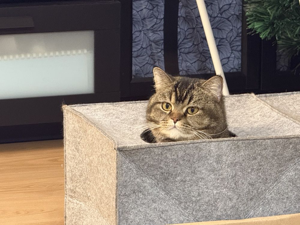 Photograph by Viktor Dikmann