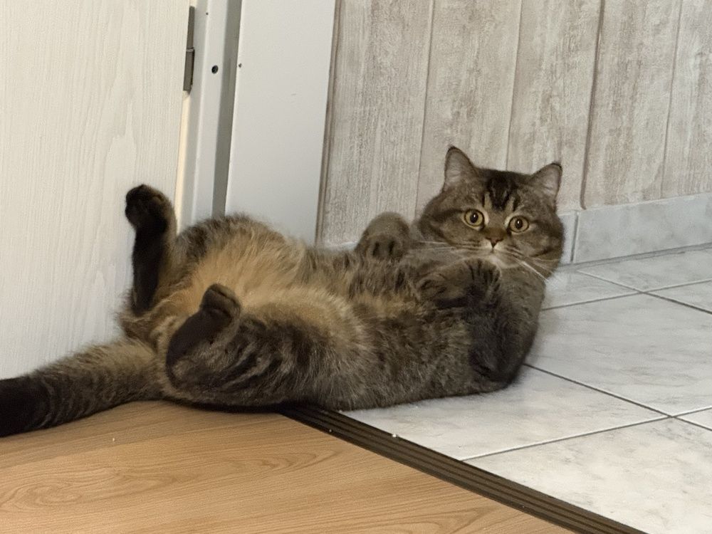 Photograph by Viktor Dikmann