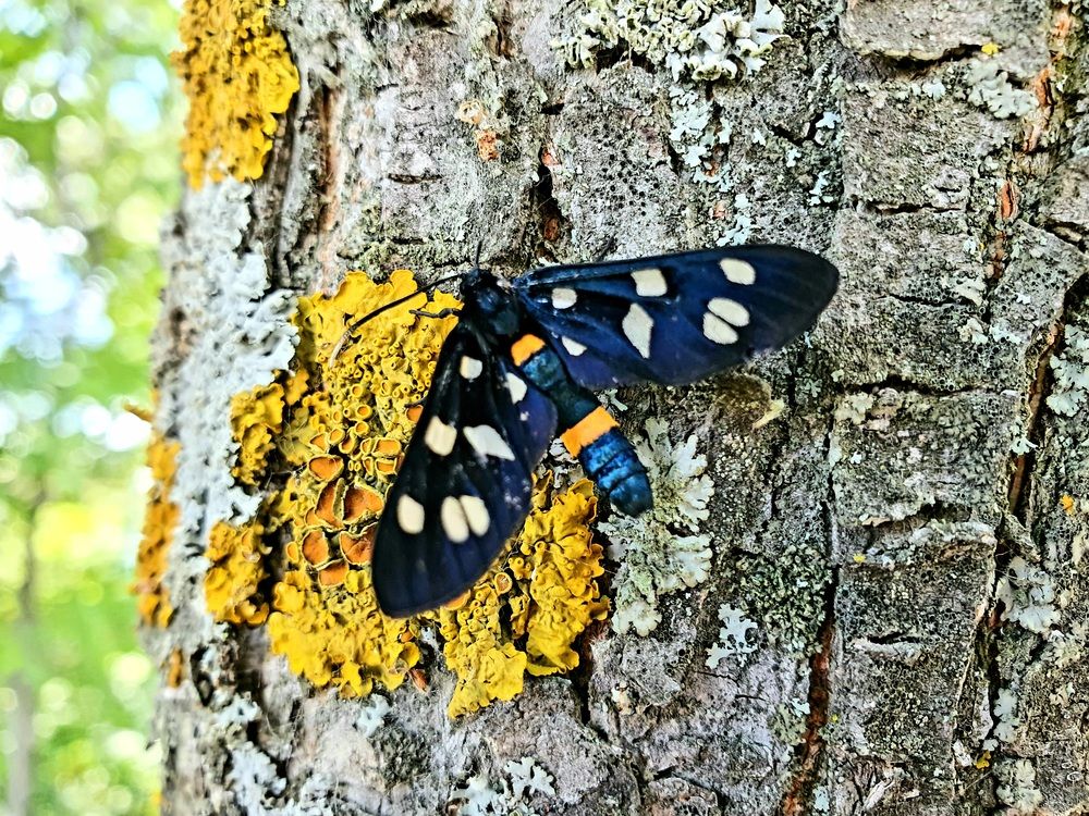 Photograph by Сергей Синьков