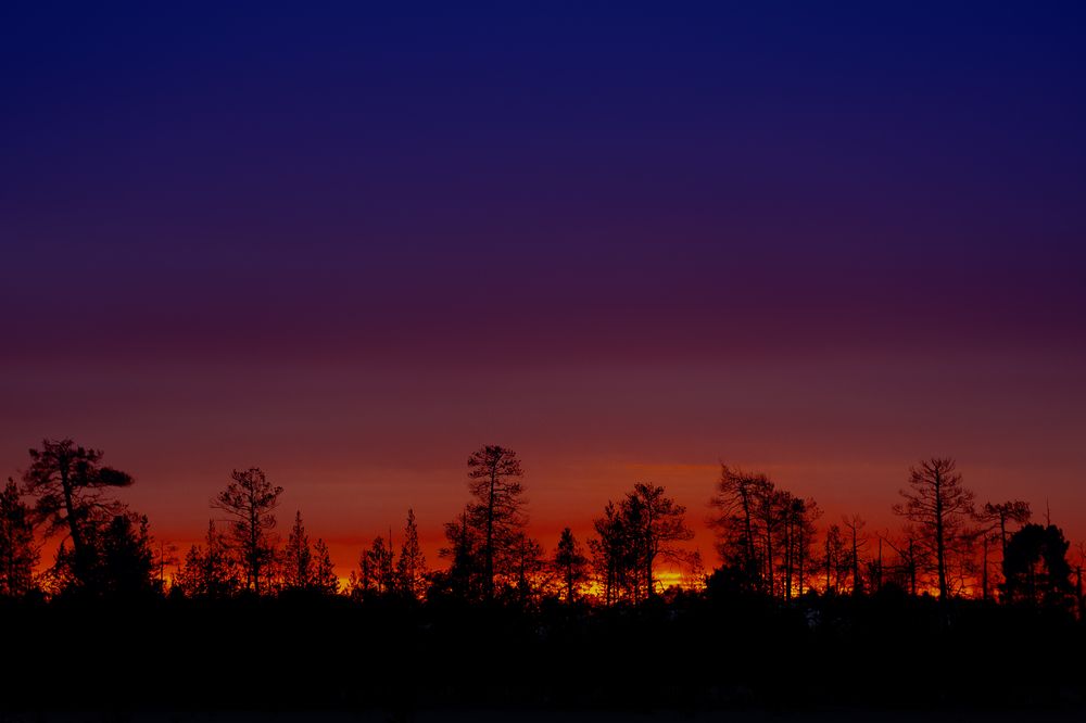 Photograph by Дмитрий Гривцов