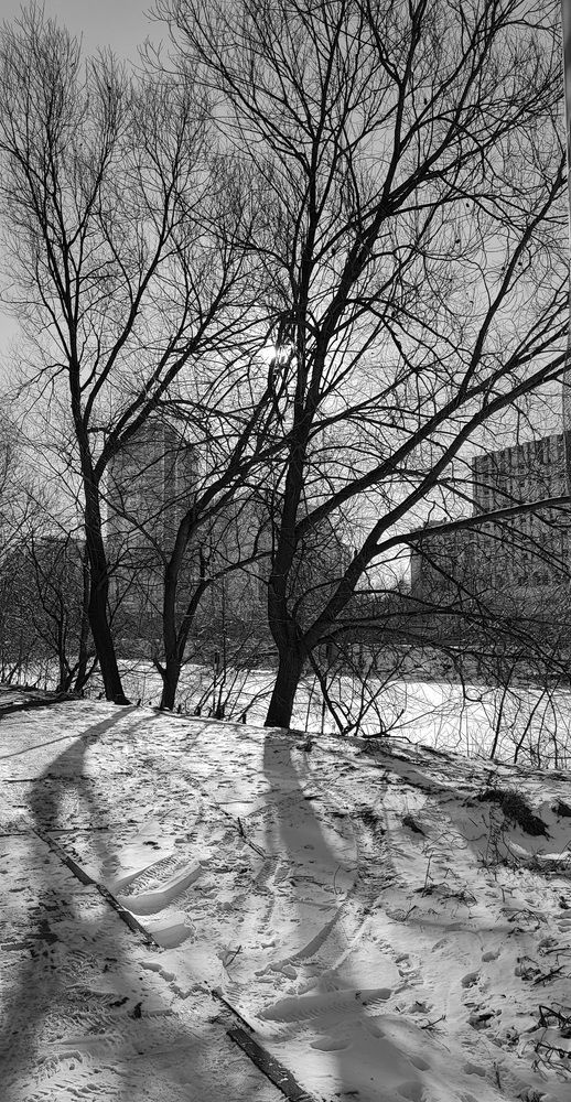 Photograph by Елена Юдина