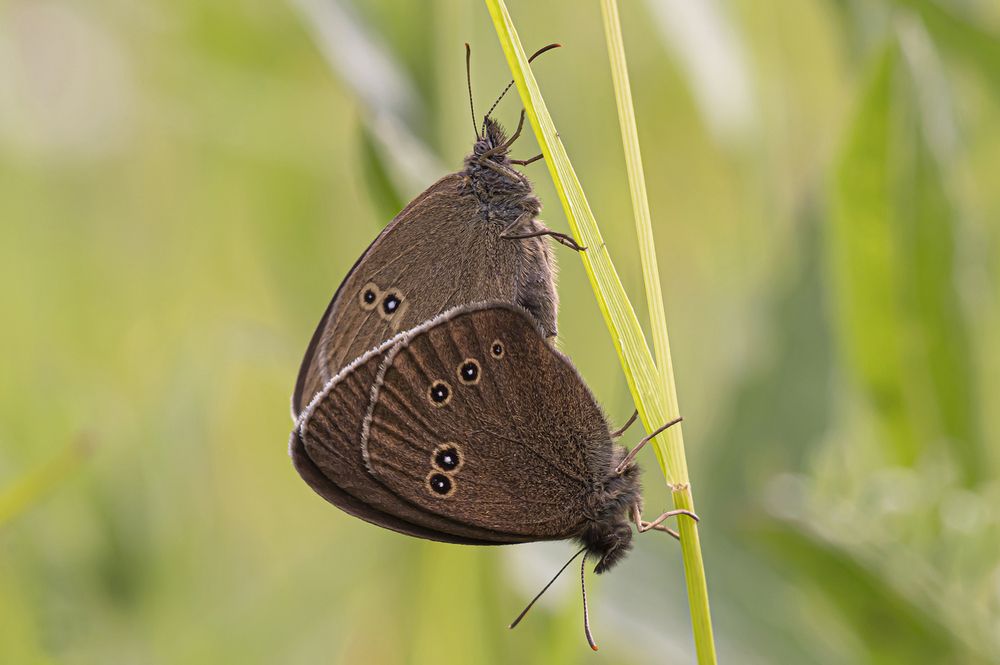 Photograph by Бурикова Екатерина