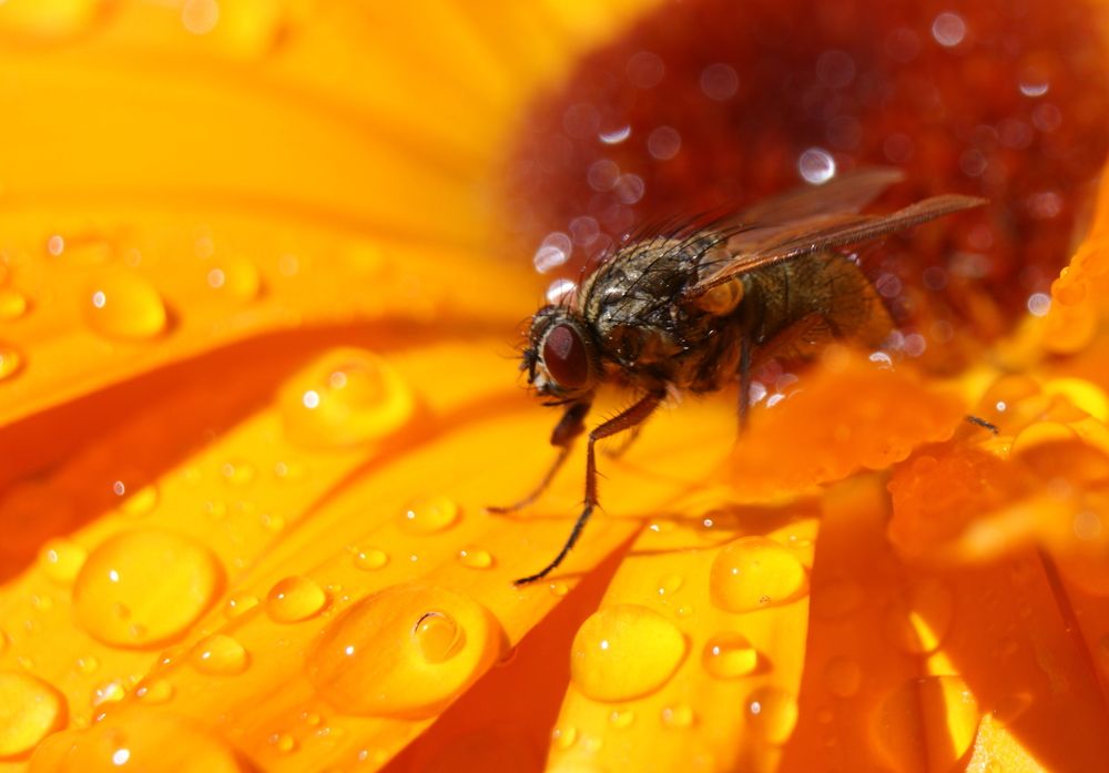 Фотография автора Галина