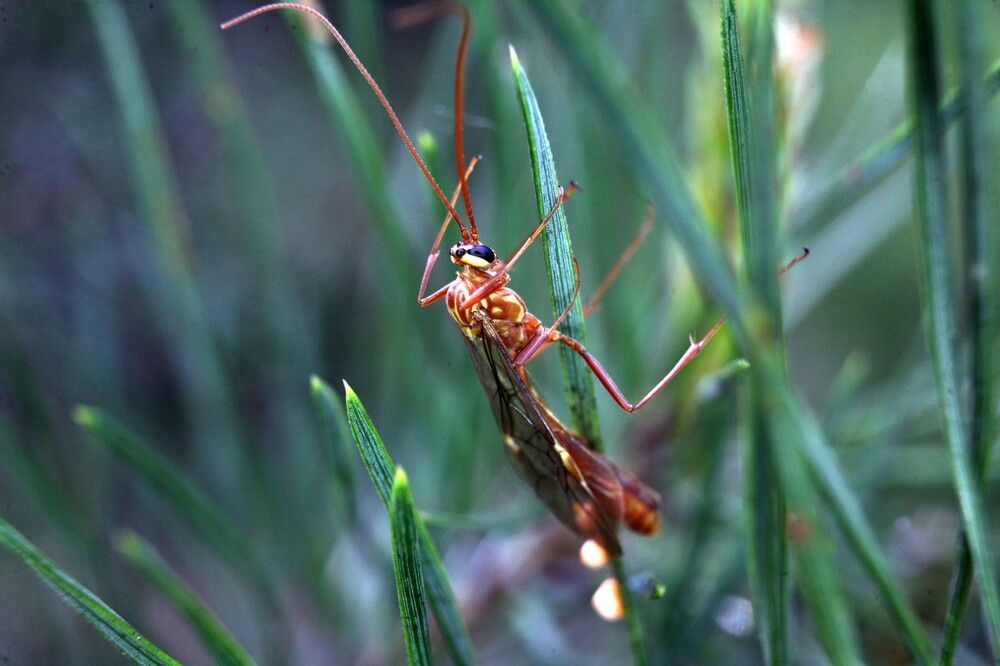 Photograph by Сергей Зятиков