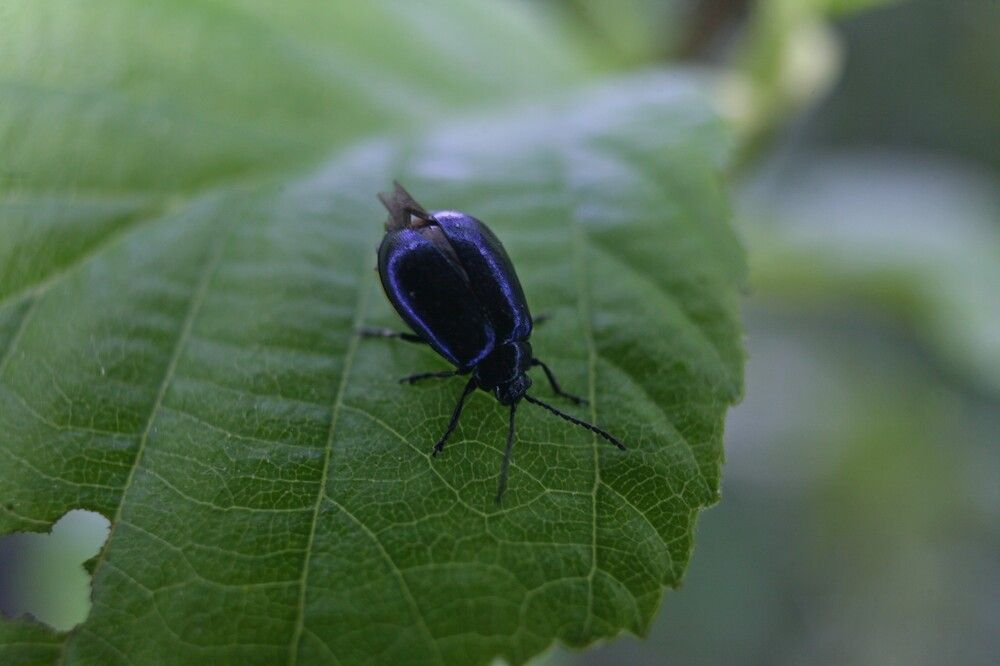 Photograph by Сергей Зятиков