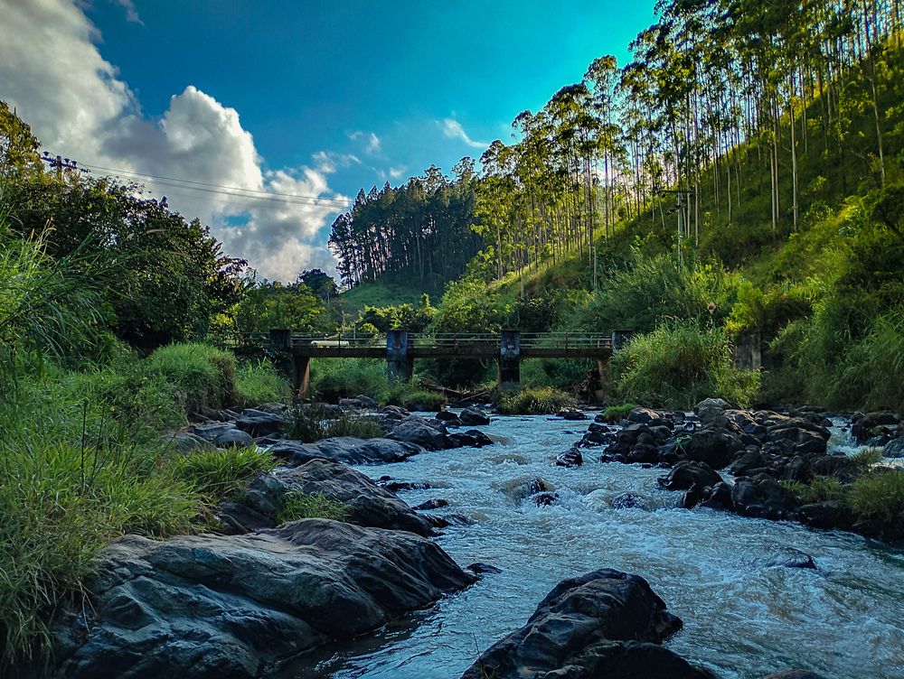 Photograph by lahiru sandaruwan