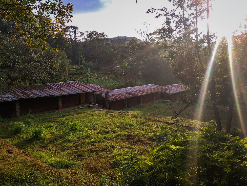 Photograph by lahiru sandaruwan
