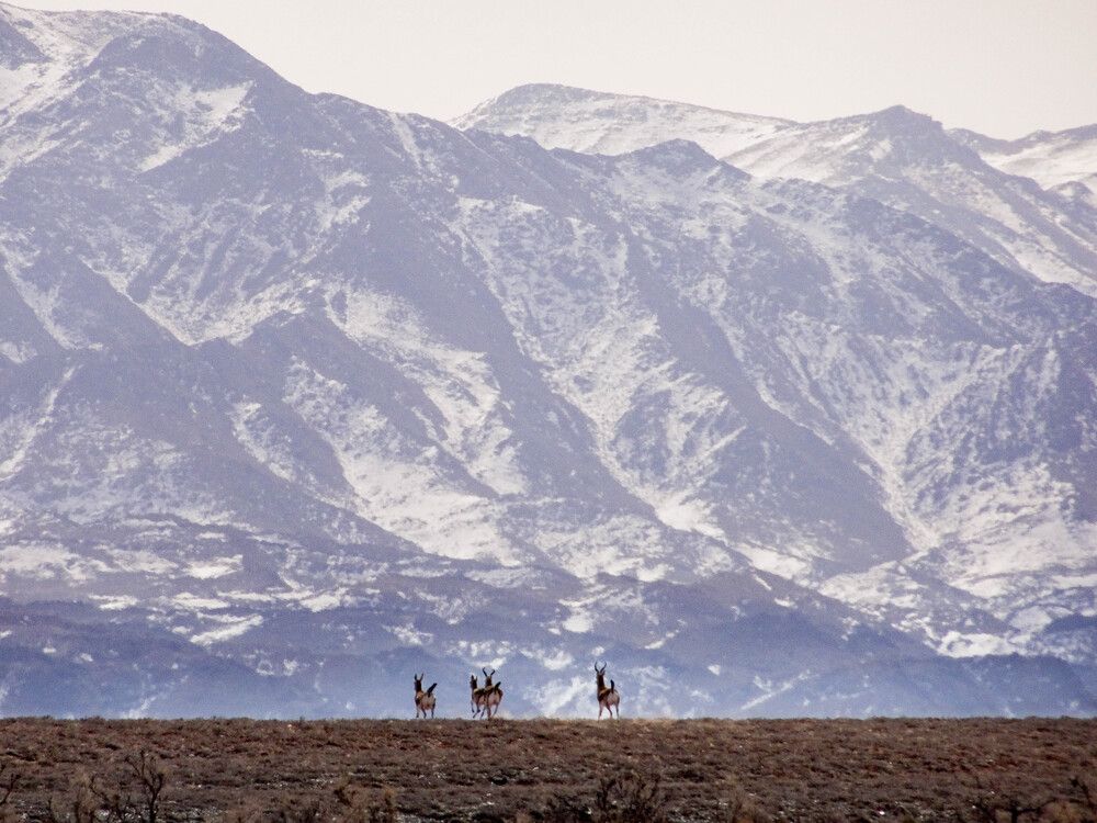 Photo #12083879