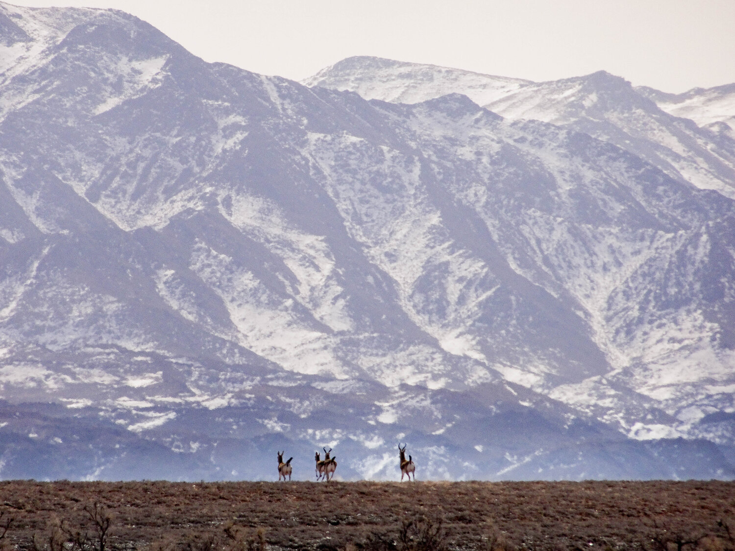 Photo #12083879
