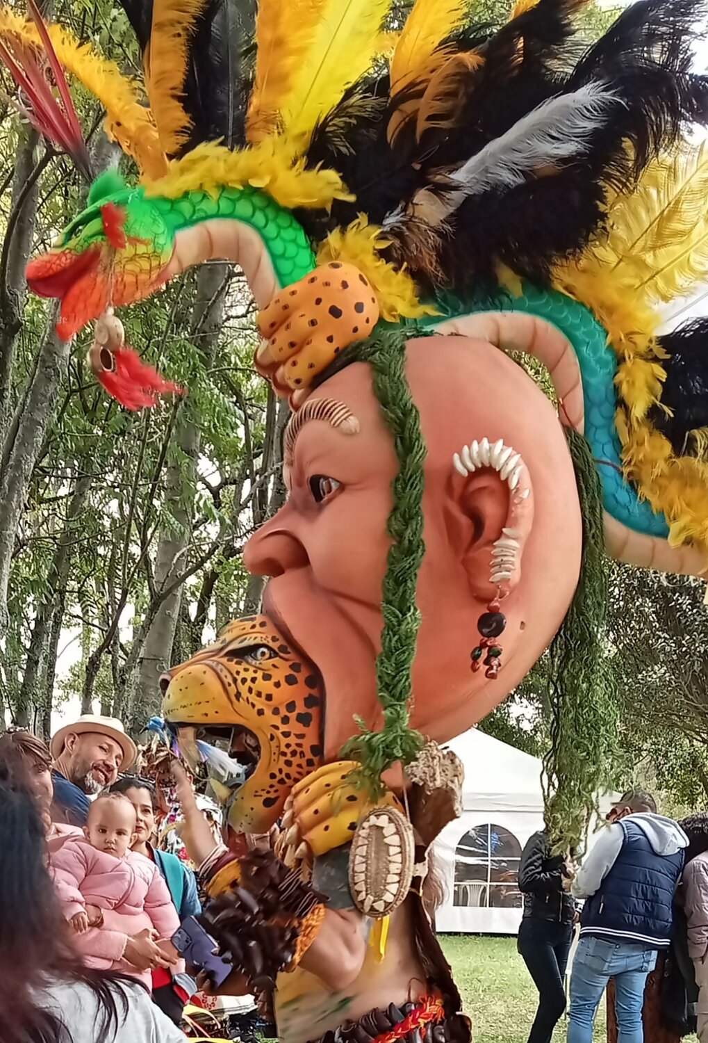 Del Amazonas a Bogotá