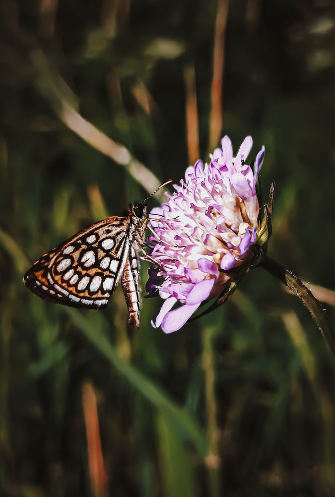 Photograph by Юлия