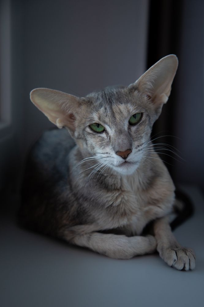 Photograph by Andrey Kul