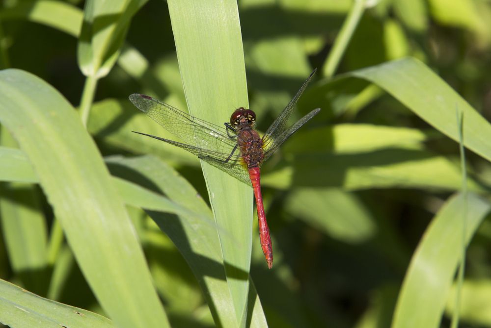 Photograph by Nataliia Nedelina