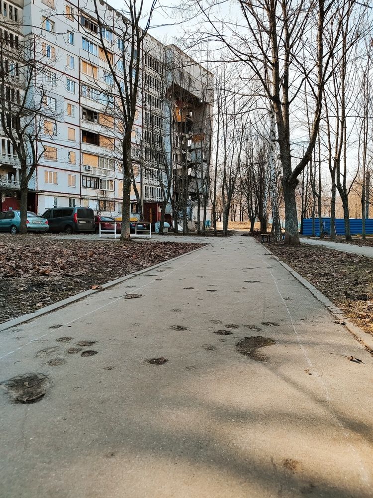 Photograph by Alexandr