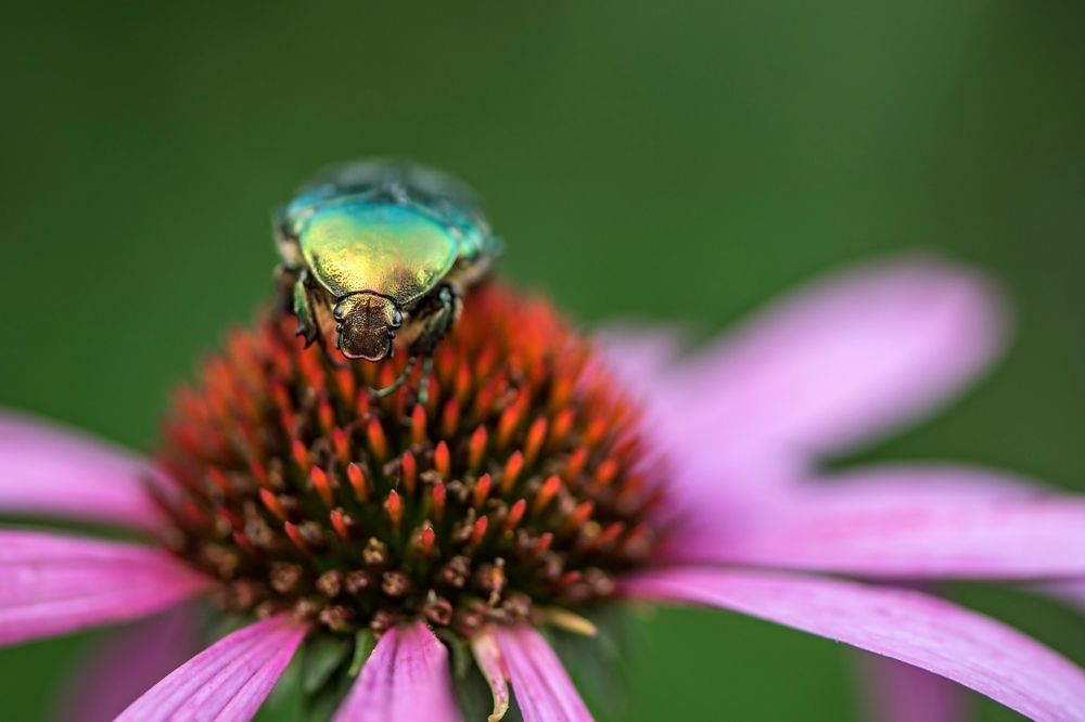 Photograph by Илфир Исламгазин